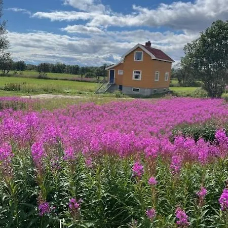 Bogstrand, Dverbergveien 11, 8485 * Dverberg