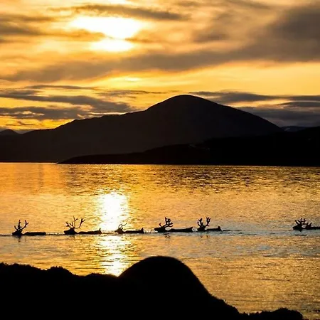 Bogstrand, Dverbergveien 11, 8485 Dom wakacyjny Dverberg