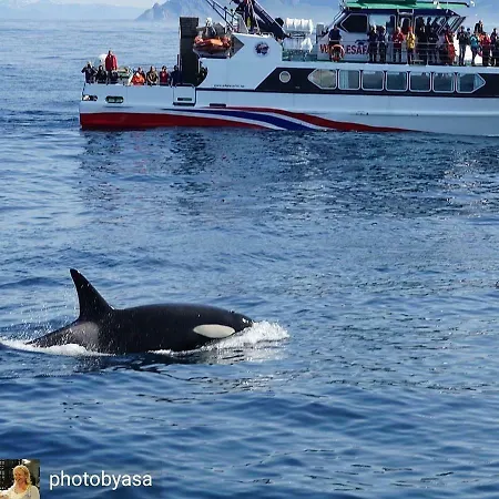 Bogstrand, Dverbergveien 11, 8485 Dverberg