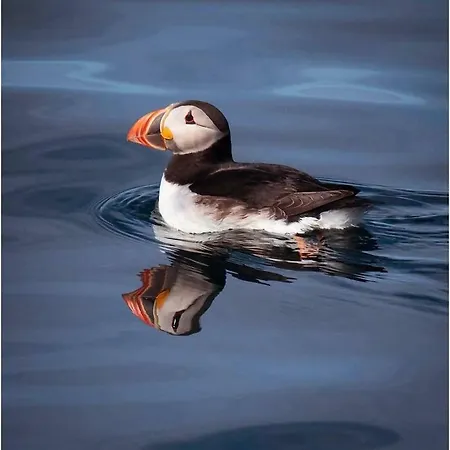 Bogstrand, Dverbergveien 11, 8485 Dom wakacyjny Dverberg