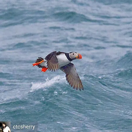 Bogstrand, Dverbergveien 11, 8485 Dom wakacyjny Dverberg