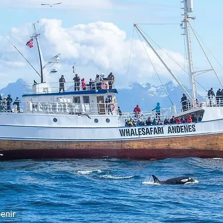 Bogstrand, Dverbergveien 11, 8485