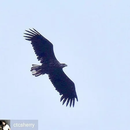 Bogstrand, Dverbergveien 11, 8485 *